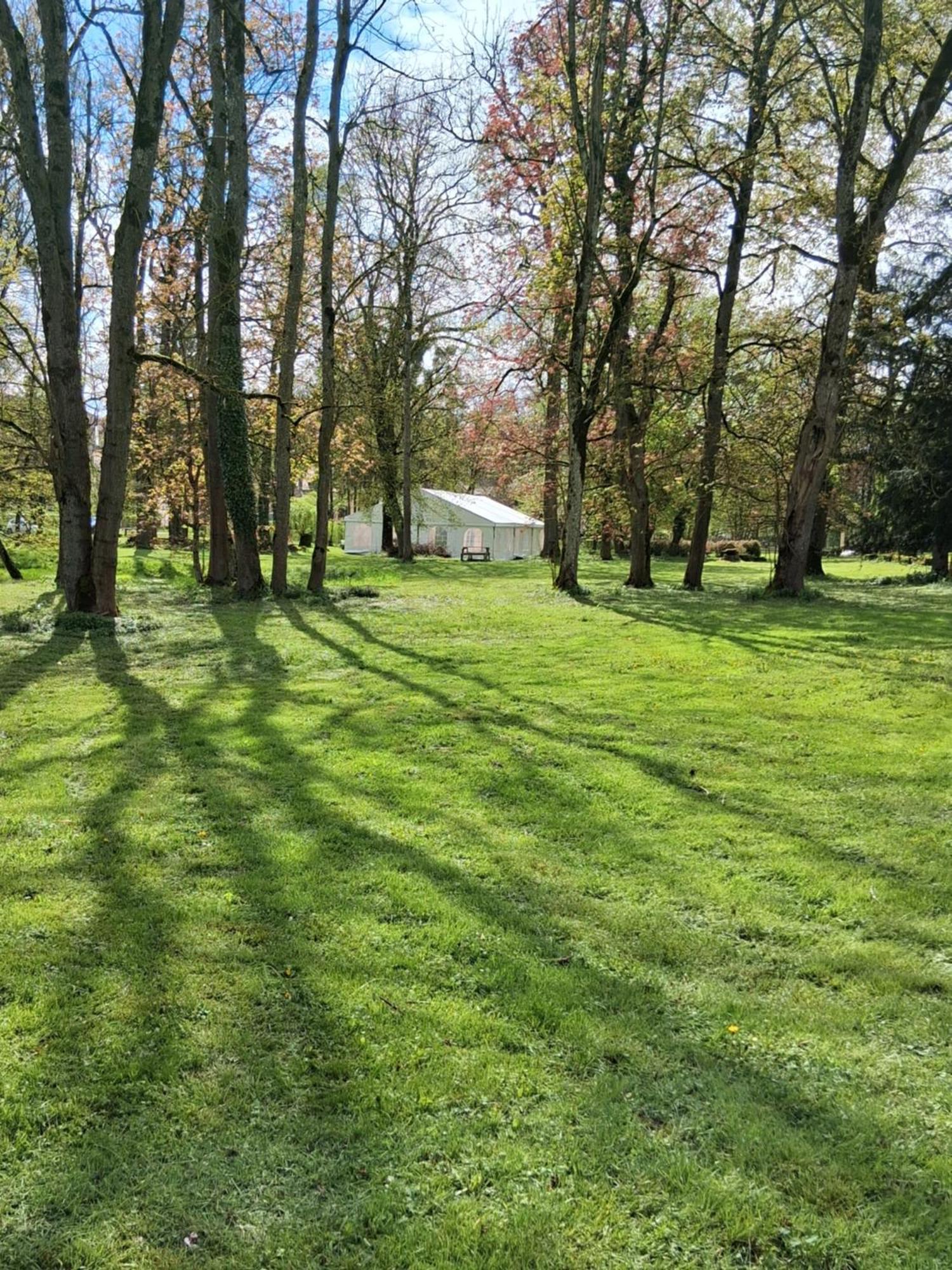 Le Domaine D'Elise Chambres Et Table D'Hotes - Vosges Saint-Ouen-les-Parey ภายนอก รูปภาพ